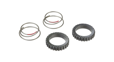 Ritchey Star Ratchet Rings and Springs Kit